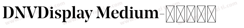 DNVDisplay Medium字体转换